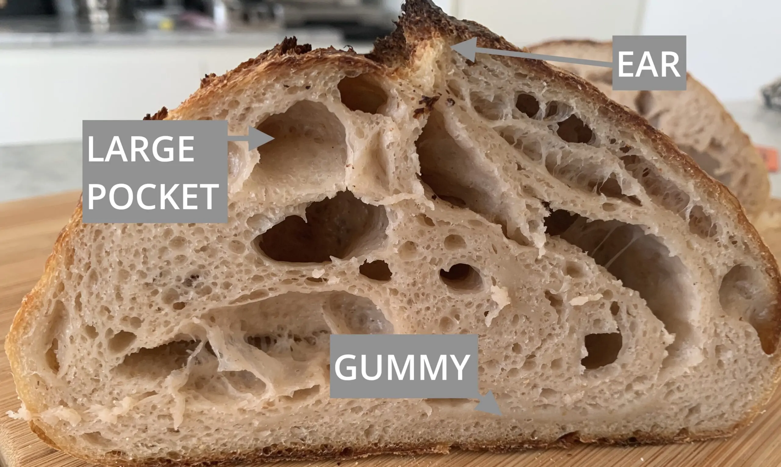 bánh mì sourdough lỗ khí giả