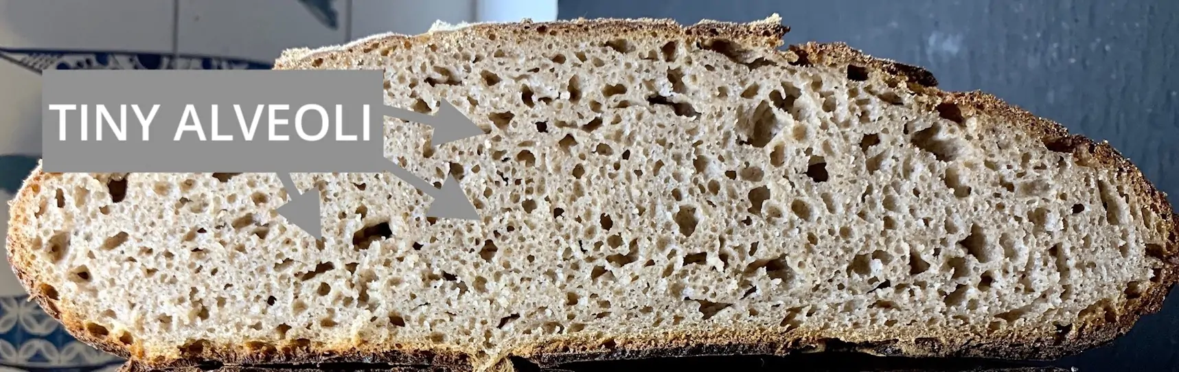 bánh mì sourdough nở kém do ủ lố