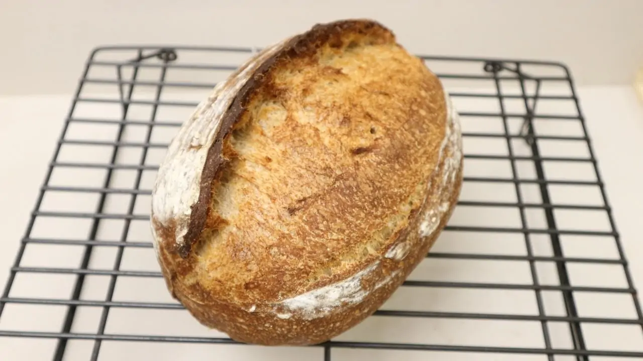 cách làm bánh mì sourdough chi tiết