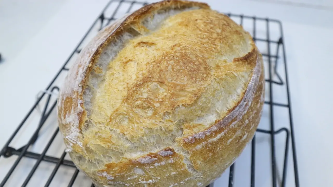 cách làm bánh mì sourdough