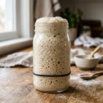 Cách bảo quản men Sourdough sống khỏe: từ ngắn hạn đến dài hạn cách bảo quản men sourdough